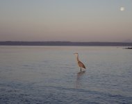 IMG_7734.jpeg