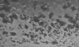 015-clouds-073126-B&W.jpg