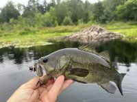 IMG_7249.jpeg