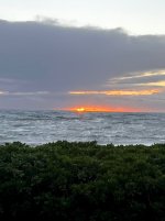 IMG_8725.jpeg