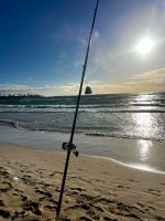 IMG_8727.jpeg