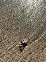 IMG_8729.jpeg