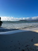 IMG_8730.jpeg