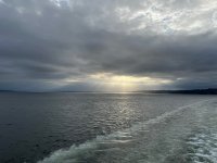 IMG_7746.jpeg
