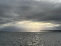 IMG_7748.jpeg