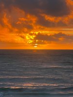 IMG_8738.jpeg