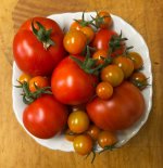 IMG_7776.jpeg