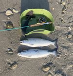 IMG_3910.jpeg