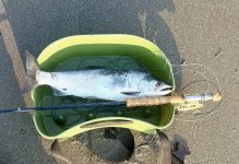 IMG_3548.jpeg