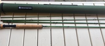 IMG_4341.jpeg