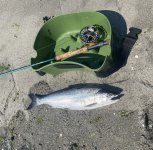 IMG_3921.jpeg IMG_3921.jpeg