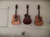 IMG_5303.jpeg