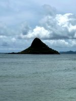 IMG_8751.jpeg