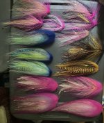 IMG_6193.jpeg