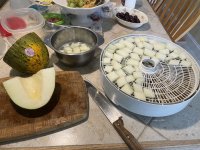 IMG_0260.jpeg