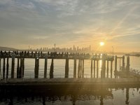 IMG_0845.jpeg IMG_0845.jpeg