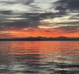 IMG_3574.jpeg