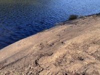 IMG_1542.jpeg
