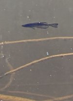 IMG_1540.jpeg