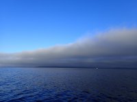 IMG_7805.jpeg
