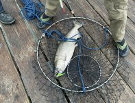 IMG_0853.jpeg