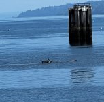 IMG_7809.jpeg