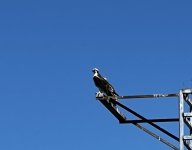 IMG_7836.jpeg
