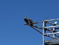 IMG_7837.jpeg