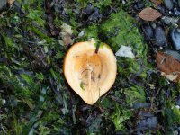 IMG_7843.jpeg