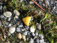 IMG_7847.jpeg