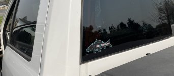 IMG_7940.jpeg