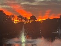 IMG_6575.jpeg