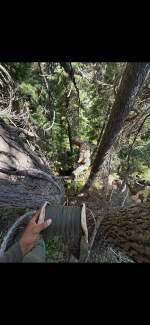 IMG_4057.png IMG_4057.png