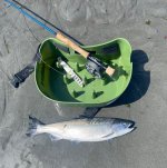 IMG_3940.jpeg