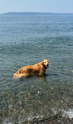 IMG_0376.jpeg