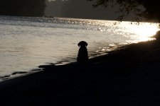 boopup.jpg