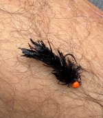 IMG_0481.jpeg