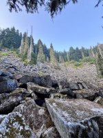 IMG_7391.jpeg