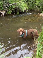 IMG_4184.jpeg