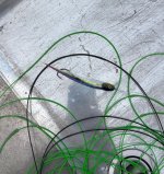 IMG_4600.jpeg