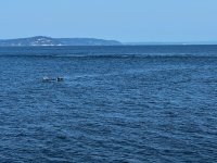 IMG_7927.jpeg
