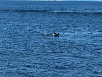 IMG_7928.jpeg