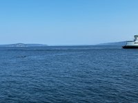 IMG_7929.jpeg