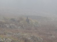 PXL_20260816_153753391.jpg