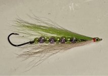 IMG_7940.jpeg