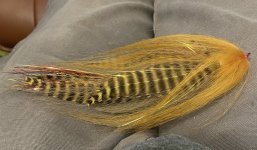 IMG_6215.jpeg
