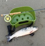 IMG_3643.jpeg