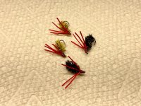 IMG_0295.jpeg