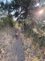 IMG_4345.jpeg