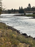 IMG_4346.jpeg